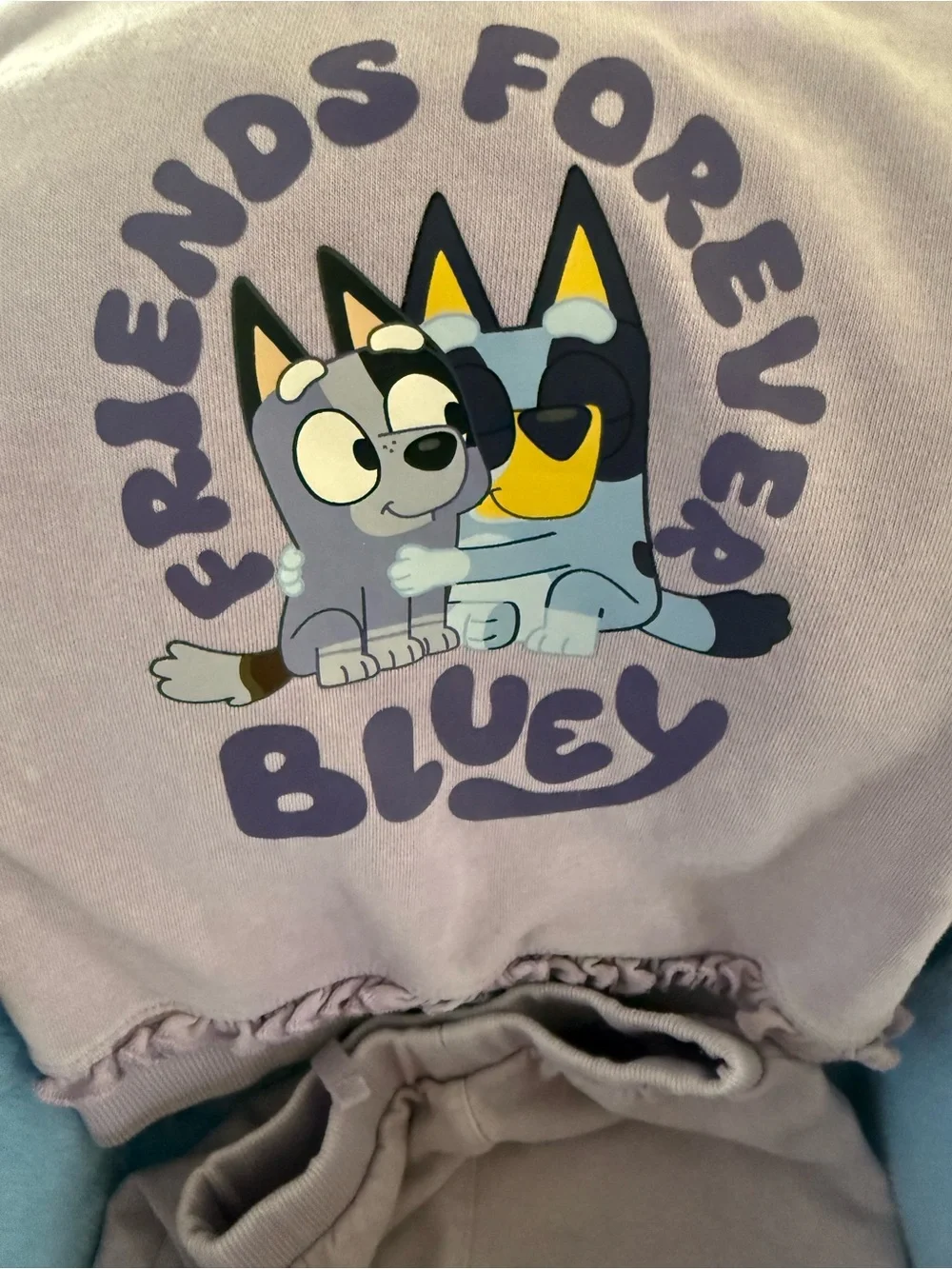 Bluey and Socks